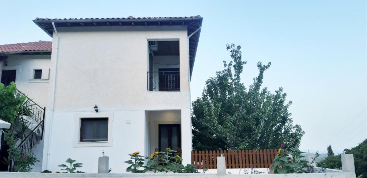 Green View Apartment Agios Petros  Екстер'єр фото